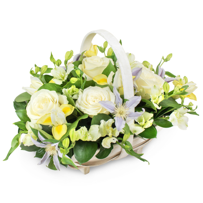A refined sympathy flower basket, photographed against a spotless white background, captures the mood of a peaceful farewell in South Croydon. The arrangement rests in a light, woven wicker basket, painted in a soft cream-beige and finished with a substantial handle that rises in a smooth arc above the blooms, adding height while keeping the overall look understated. Inside, the flowers are arranged into a generous, rounded shape that feels embracing and protective, like a careful gesture of condolence. Creamy white roses, fully unfurled, dominate the design; their lush, velvety petals curl outward to reveal perfectly formed centres, radiating purity, sincerity, and affection. Around them, delicate freesia-like blossoms in white and pale lemon yellow cluster together, their slender buds and trumpet-shaped flowers adding a sense of movement and light fragrance, as if a soft breeze were drifting up from one of South Croydon's quiet residential gardens. Punctuating the pastels are star-shaped clematis blooms in gentle lavender or soft periwinkle blue, each bloom with a vibrant yellow-green centre that draws the eye and adds an airy, ethereal quality. The mass of flowers rests on a bed of lush greenery, where broad, dark green leaves and finer stems create depth and a natural frame, making the lighter petals almost glow against the foliage. The lighting is bright and even, with no harsh shadows, emphasizing the freshness and meticulous craftsmanship of the design. This thoughtful composition feels ideal for a funeral or memorial, a respectful tribute that offers comfort, serenity, and a quiet reminder of enduring love to families across South Croydon.