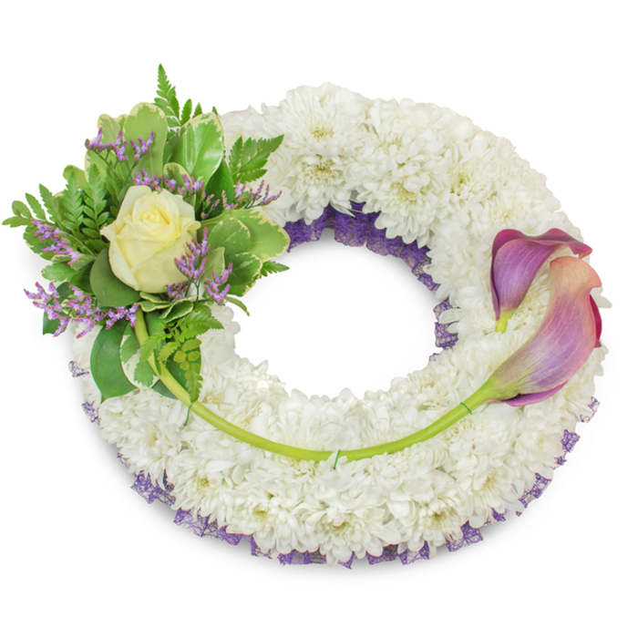 A large, dignified circular wreath crafted with meticulous care: the main body is a dense ring of pristine white chrysanthemums whose tightly packed florets form a soft, cloud-like mass evoking calm and peace. Subtly visible beneath the white surface, a deep purple mesh or ruffled lace peeks through along the inner rim, adding an understated layer of colour and depth that complements the cooler tones above. On the upper-left section a composed cluster provides a focal contrast - a single, perfectly formed cream or pale yellow rose opens gently from the centre, cradled by a mix of rich green foliage including broad variegated leaves edged with lighter tones and delicate, feathery fern fronds for softness and texture. Interwoven through this greenery are slim sprigs of lavender-hued statice, their tiny papery blooms introducing a faint, serene sparkle. To the right, two sculptural calla lilies rest elegantly along the lower-right arc, their curved trumpets displaying a refined gradient from deep purple at the tips to soft peach-pink or blush nearer the base; their bright green stems sweep along the wreath's curve and are incorporated into the chrysanthemum bed. A single longer stem runs from the left cluster across the lower section, secured inconspicuously, visually uniting both sides. Presented on a clean white background with gentle daylight highlighting textures, this arrangement reads as a respectful memorial tribute - suitable for funeral services, memorials, or as a graveside wreath for families in South Croydon, Croham Hurst and nearby neighbourhoods seeking a composed expression of remembrance.