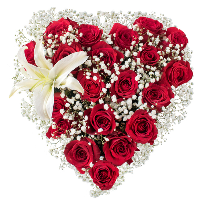 Against a pristine white field, this heart-shaped bouquet reads as a study in contrast and devotion: the dominant surface is a compact tableau of deep crimson roses, each petal layered and velvety, arranged in a tight mosaic so the heart projects fullness and dimension. Interspersed throughout and tracing the outer curve are light, frothy clusters of baby's breath (Gypsophila); their tiny, star-like flowers create an airy network that brightens and refines the heart's outline, offering a delicate counterpoint to the roses' saturated mass. Anchoring the upper-left arc is one elegant white lily, its broad petals unfolding like a quiet embrace; toward its center a soft cream hue blends into pale yellow stamens, giving the lily a serene glow and a sculptural presence that draws the eye. The bouquet's textures are distinct and complimentary-the roses' plush depth, the gypsophila's feathery fineness, and the lily's smooth, almost porcelain surface-while the white backdrop isolates those textures so they read cleanly and clearly. Light is even and soft, picking out subtle highlights on petal edges and creating gentle shadows that model the heart's curvature. Visually and emotionally the piece communicates ardour, solemn beauty, and attentive craftsmanship: an ideal arrangement for Valentine's Day, milestone anniversaries, or a tasteful floral tribute. A South Croydon florist describing this might imagine delivering it to a family home near Selsdon Road or to a small celebration in the Croydon area, confident it will convey deep feeling with restrained elegance.