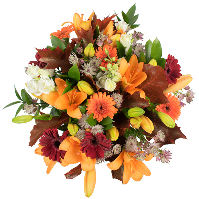 A richly textured, slightly elevated view of an autumnal bouquet that reads as both abundant and carefully composed, ideal for those who love the warmth of late-season blooms around South Croydon. Several wide, orange Asiatic lilies dominate the scene, their elegant, trumpet-shaped petals fully unfurled and showing soft veins and satiny surfaces; nearby, clusters of tightly furled lily buds in pale orange and chartreuse hint at continued flowering. Bright orange Gerbera daisies and deep burgundy Gerberas punctuate the arrangement with bold, circular forms, each centre a dark focal point that anchors the surrounding colour. Soft, ivory Lisianthus with layered, ruffled petals introduce a soothing contrast, while delicate Astrantia in muted purple and lavender contributes a fine, spiky texture that lifts the bouquet's silhouette. Generous, deeply lobed leaves in reddish-brown and chestnut tones-resembling classic oak leaves-are woven through the flowers to evoke the fallen leaves of Addington Hills and local lanes; fresh green foliage and slim stems provide crisp, living structure and visual relief. The composition is tightly packed yet reads as lush and breathable, its colours saturated by bright, even lighting against a clean white background that emphasises each tonal shift. The overall mood is warm, comforting and celebratory, suggesting uses from Thanksgiving centrepieces to heartfelt autumn gifts delivered across South Croydon and neighbouring streets. A tactile bouquet, it hints at soft petal textures, the gentle rustle of autumn leaves, and an understated garden fragrance that invites touch and quiet appreciation.