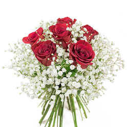 A timeless symbol of romance blooms at the center of this elegant floral arrangement, captured in a soft, natural light that flatters every detail. Six velvety red roses, in their prime of fullness, stand proudly at the heart, each spiral petal open to reveal rich shades of crimson. Surrounding them is an airy profusion of pure white baby's breath, whose countless tiny blossoms recall cool mist drifting over the lawns of South Croydon's parks in the morning. The contrast between passionate red and pristine white is both classic and poetic-these colors balance one another, like two voices in a duet. Down below, long, fresh green stems are gathered by a caring florist, evidence of expert craft and fresh selection. The entire arrangement sits against a clean white background, emphasizing the purity of its color and the lushness of each bloom. This bouquet, perfect for an anniversary surprise near Haling Grove or a meaningful delivery to a home off Brighton Road, encapsulates the gentle rhythm and tender emotion that only a thoughtfully designed South Croydon bouquet can bring. Intended as a gift of love or an expression of gratitude, its presence in any space is quietly extraordinary, breathing softness and classic beauty into everyday moments.